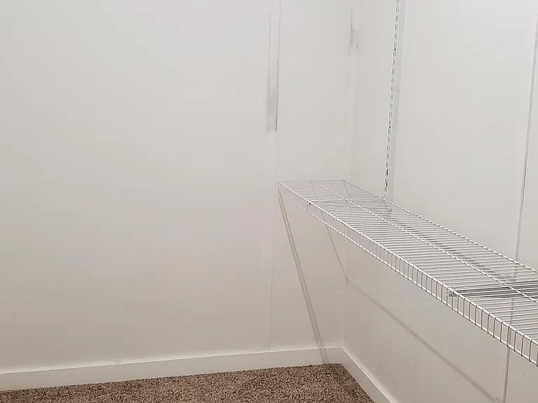 403 Locust Ave #3 — Photo 6