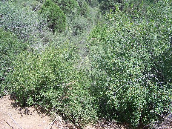 3rd image of LOT 30 W Munsee Dr
