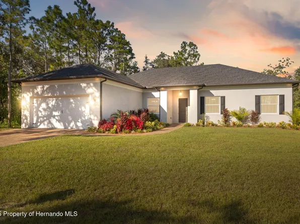 11780 Osprey Ave, Weeki Wachee, FL 34614