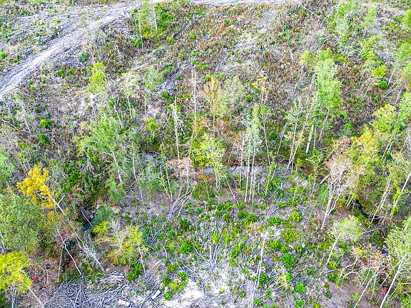 5th image of 4444AC Lone Oak Rd