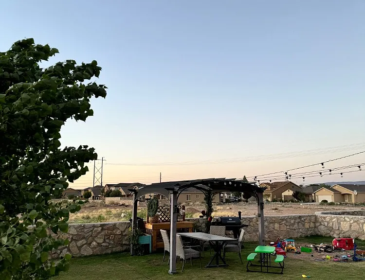 overall of back yard with pergola