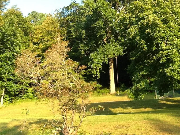 8 Nashua Rd — Photo 6