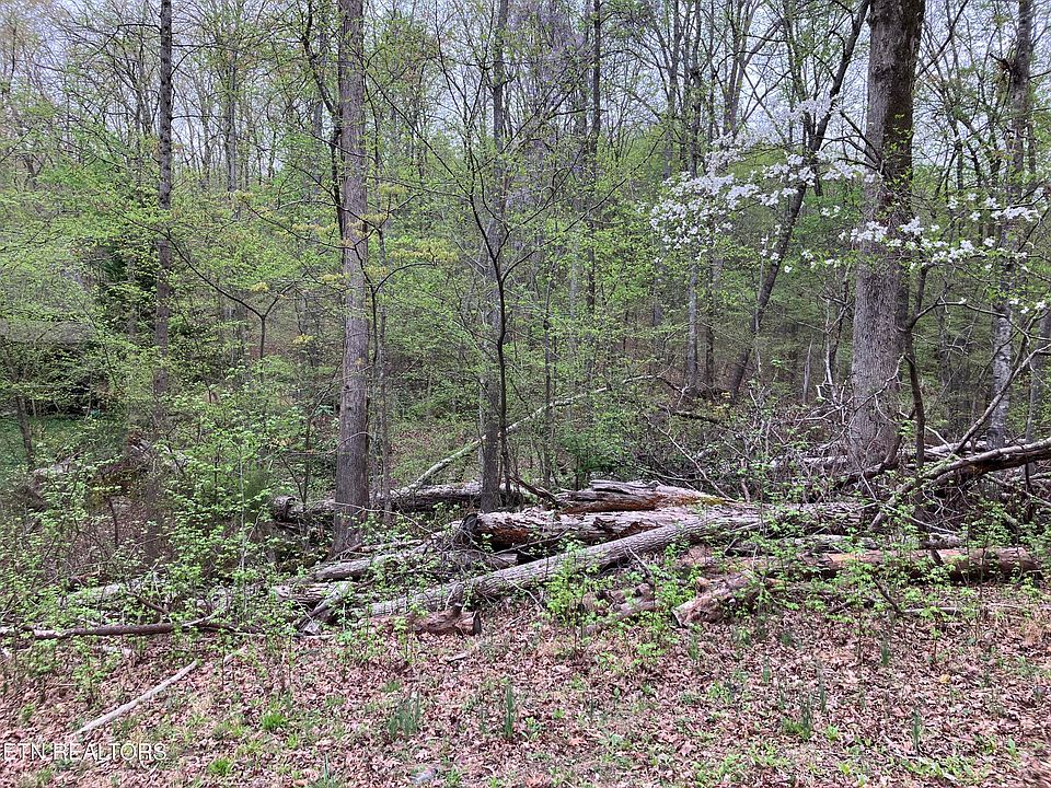 2nd image of 5-6 Eagle Point Dr