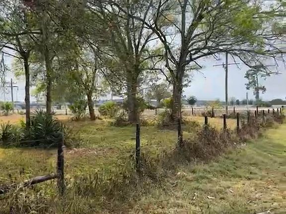 5th image of 854 NE 42nd Terrace