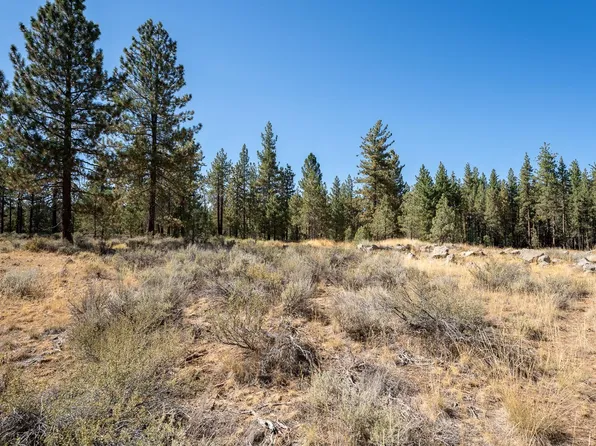 152 Otter Way, Portola, CA 96122