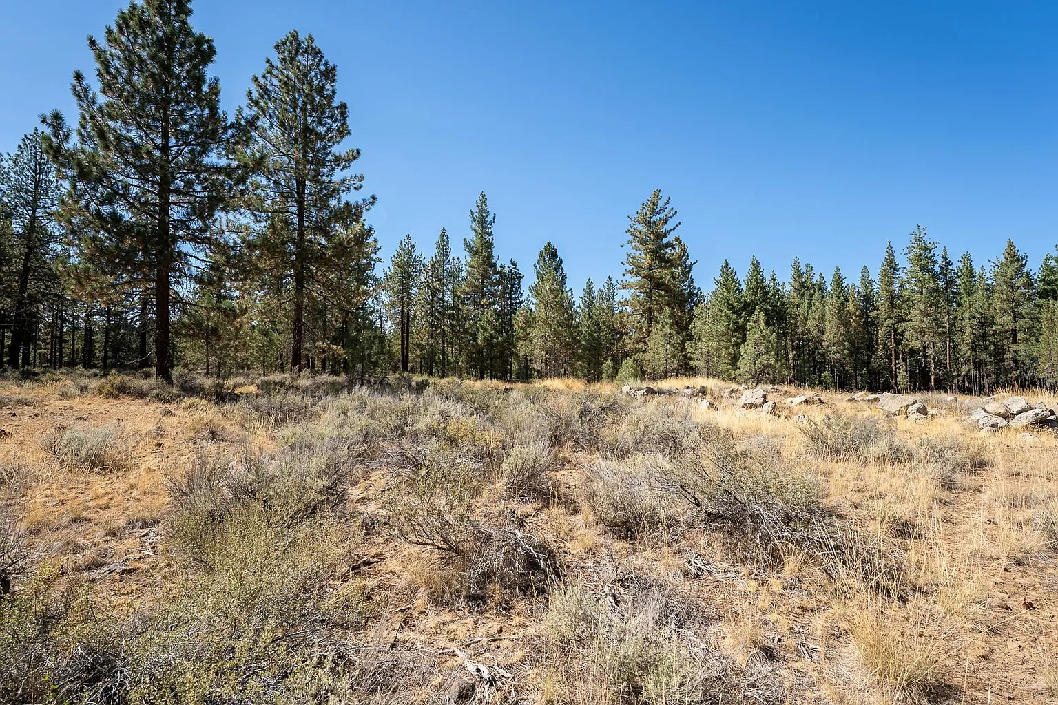 152 Otter Way photo 1