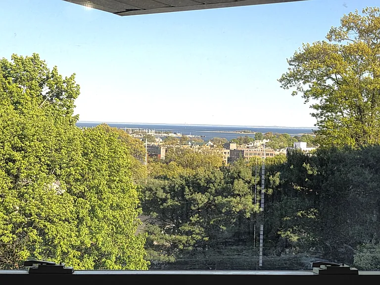 View from the primary bedroom suite window