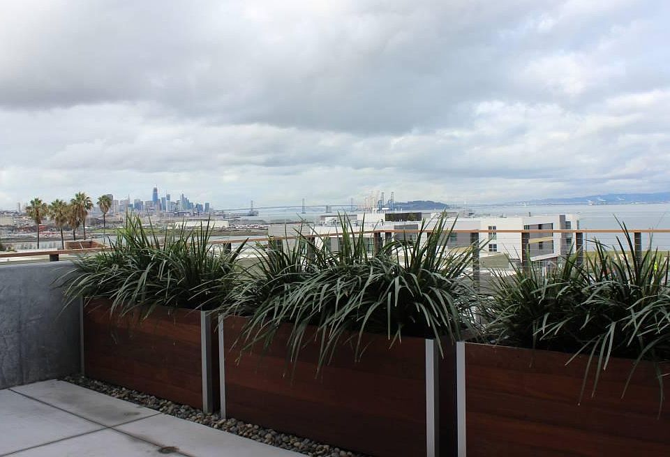 1st image of 50 Jerrold Ave #203