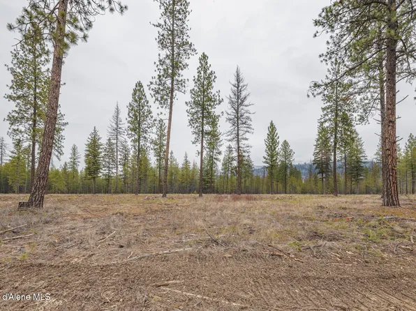 L5 B Wallace Ln #1, Blanchard, ID 83804