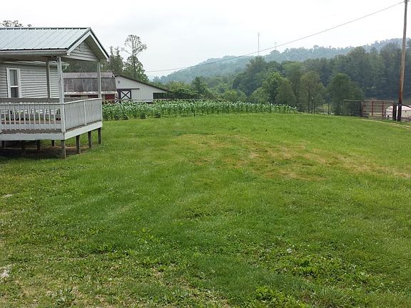 Front left and front yard