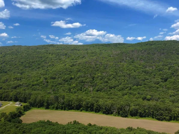 0 Cascade Mountain Road, Amenia, NY 12501