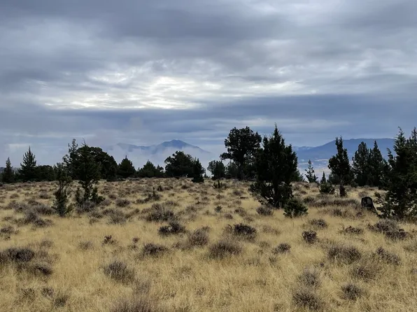 0 Wiley Creek Rd, Dayville, OR 97825