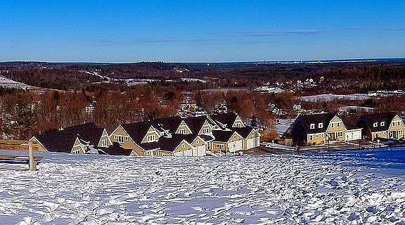 Winter View