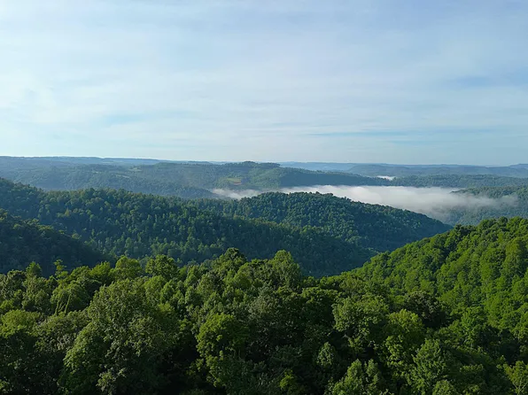 Calvert Shaver Rd, Rowlesburg, WV 26425