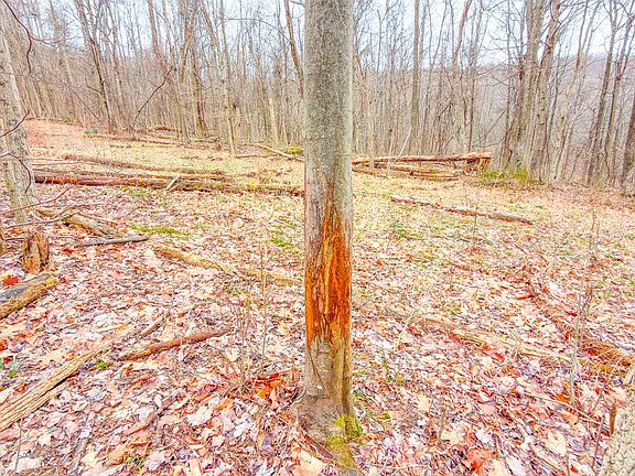 2nd image of 0 Turkey Ridge Rd