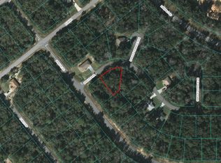 00 Spruce Ter, Ocala, FL 34472