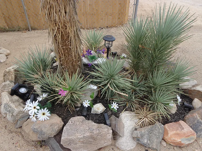 5984 La Buena Tierra Ave — Photo 16