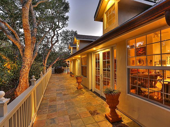 Amoungst The Tree Tops