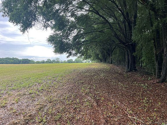 3rd image of County Road 49
