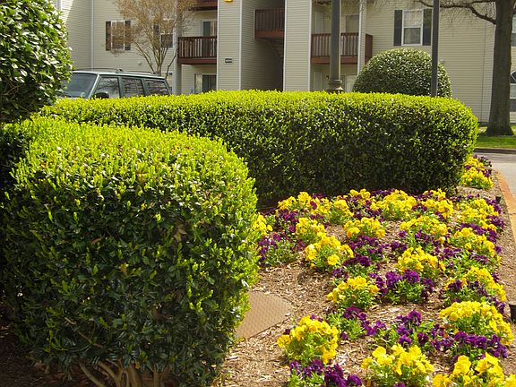 5th image of 4609 Downeast Ct APT 202