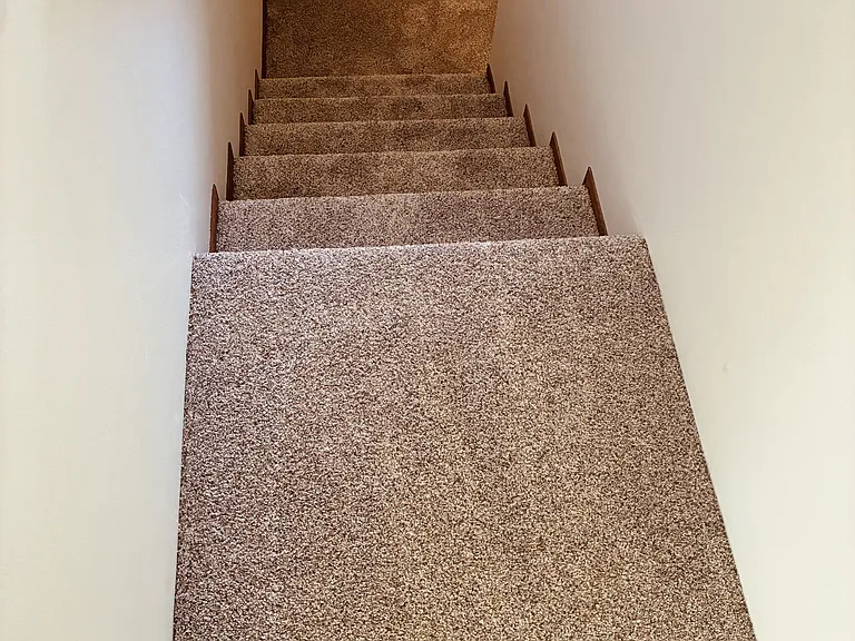 3311 Mapu Pl #2 — Photo 5