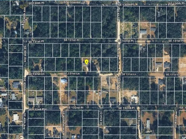 4111 SE 131st Ln, Belleview, FL 34420