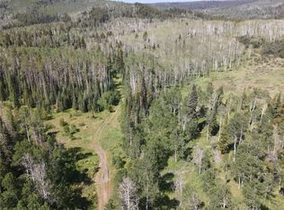 TBD Rowel Trail, Oak Creek, CO 80467