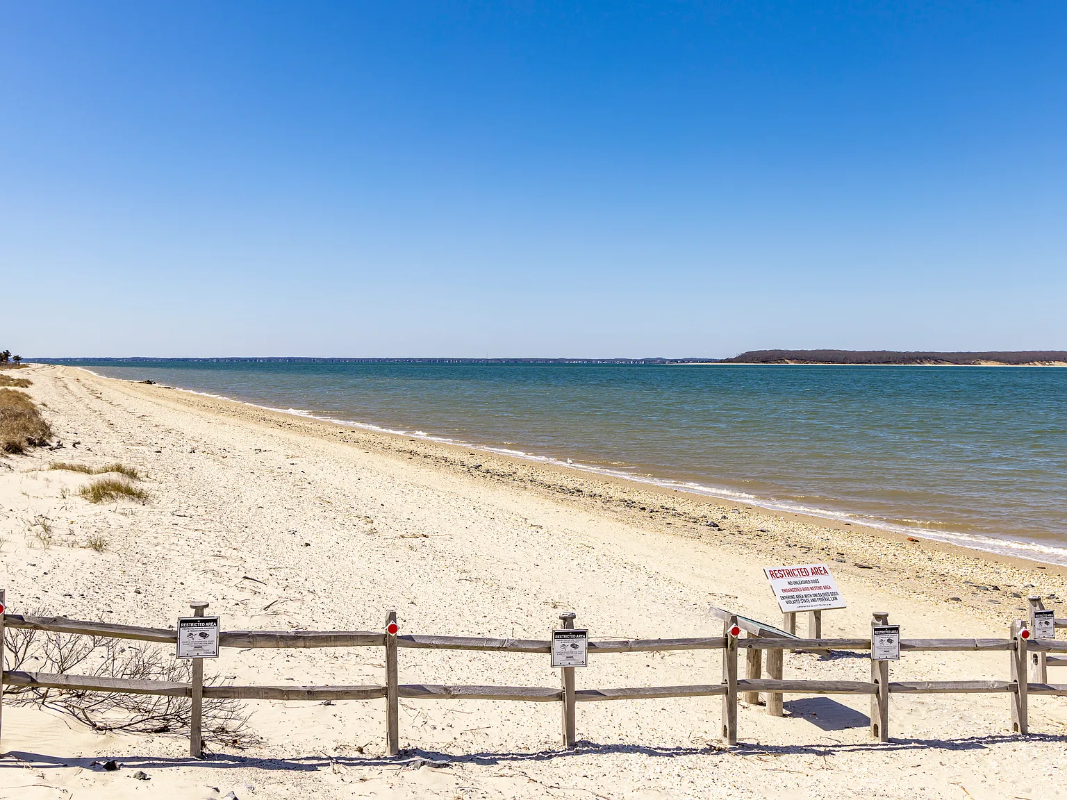 Adorable Beach Cottage Available For Rent in Southampton — Photo 2