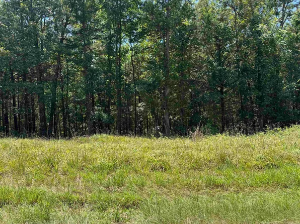 0 Davidson Cir, Higden, AR 72067