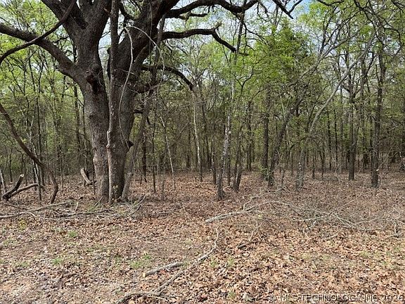 5th image of Coalgate Ct