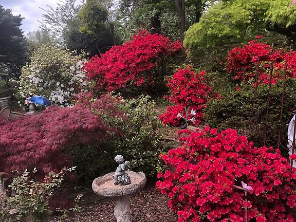 5th image of 6144 Chesterbrook Rd