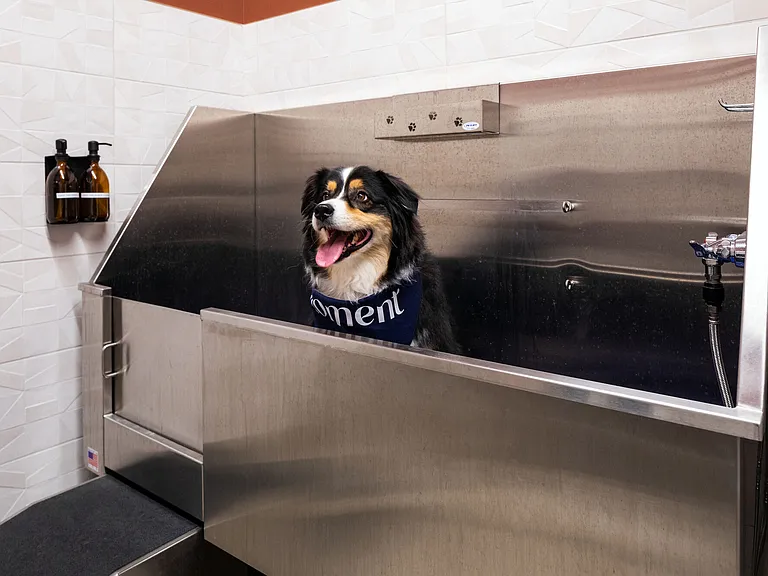 Pet Spa