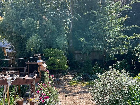 Backyard.