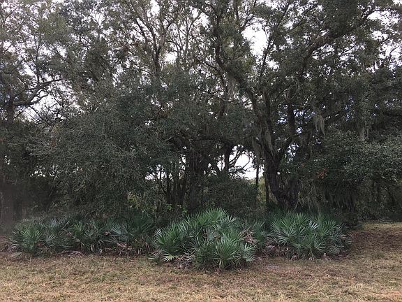 5th image of 32801 Hwy 441n #165 N