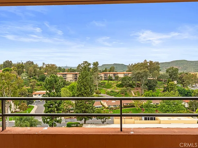 24055 Paseo Del Lago #861 — Photo 22