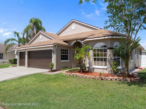 1862 Wood Bend St, Tarpon Springs, FL 34689