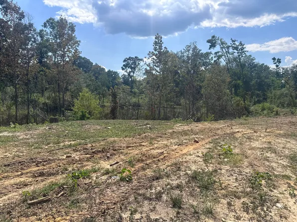 0 Sandy Run Rd, Hattiesburg, MS 39402