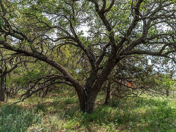 Lot of Land For Sale with Owner Finance Options in Brown County, TX