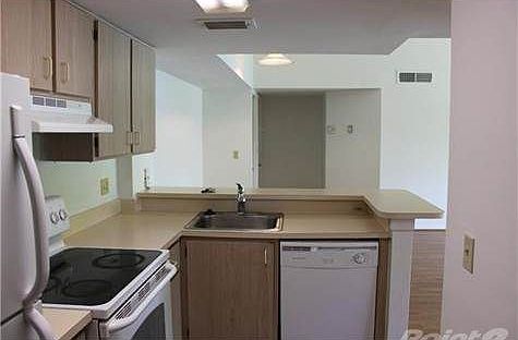 4th image of 10725 Cleary Blvd APT 202