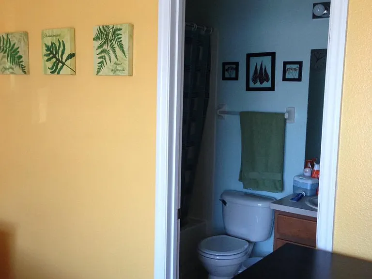 12621 Somerset Oaks St — Photo 12