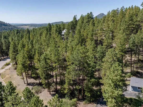 398 Iron King, Durango, CO 81301