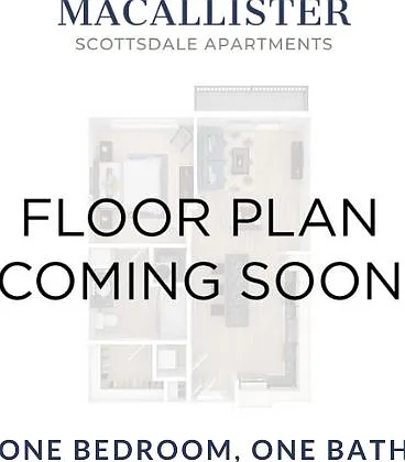 MaCallister Scottsdale — Photo 14
