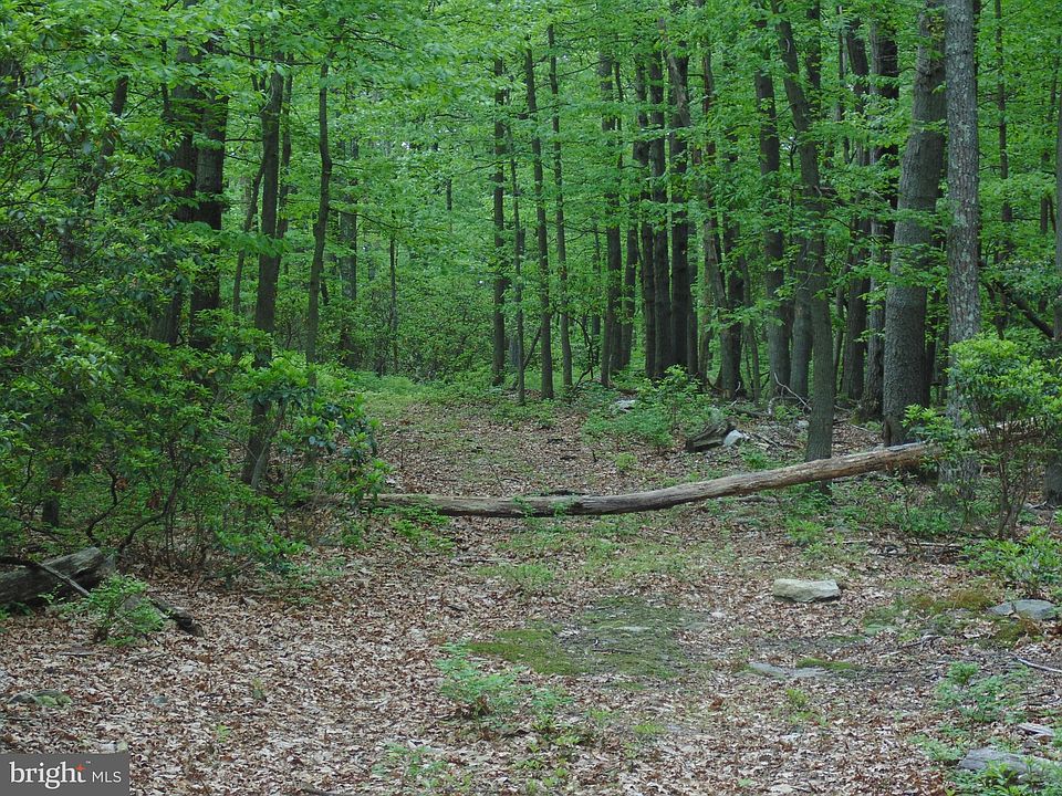 2nd image of 10335 Gambrill Park Rd