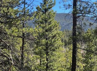 511 Lakeview Rd, Bailey, CO 80421