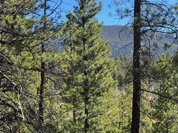 511 Lakeview Road, Bailey, CO 80421
