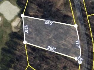 60 The Cliffs Pkwy, Landrum, SC 29356