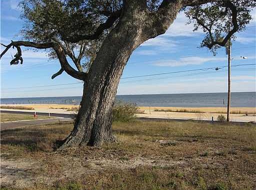 1st image of N Beach Blvd