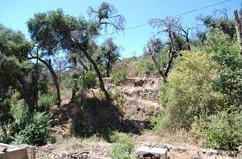 2nd image of 5209 Palmer Cyn