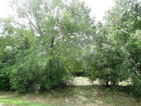 2nd image of Teal Lake Dr