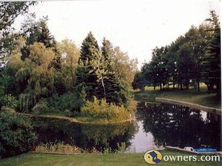 BACK YARD WOODED ISLAND LAKE VIEW
